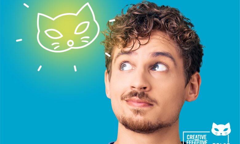 Felis Ödülleri’ne başvuru için son 3 gün 1 Felis Ödülleri
