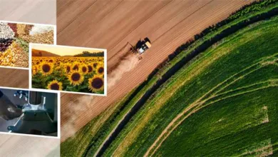 86 Milyon Liralık Tarımsal Destek Ödemesi Çiftçilerin Hesaplarına Aktarılıyor