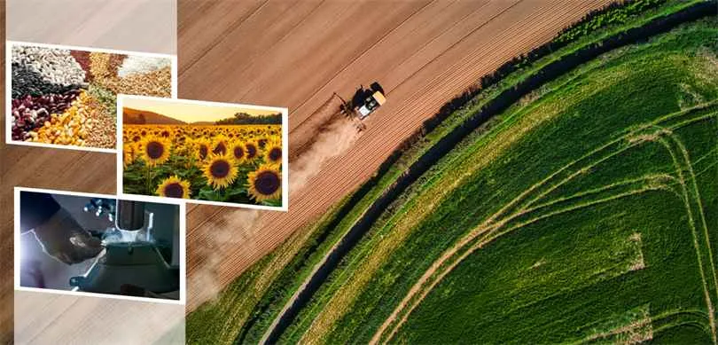 86 Milyon Liralık Tarımsal Destek Ödemesi Çiftçilerin Hesaplarına Aktarılıyor