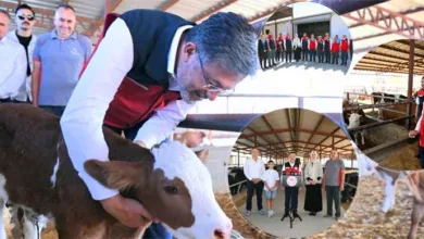 Bakan Yumaklı “Güçlü Besi Güçlü Üretim Projesi”ni Duyurdu