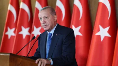 Cumhurbaşkanı Erdoğan: “Ekonomi programımızın meyvelerini topluyoruz”