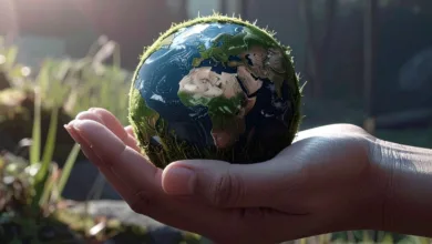 Yalitimda Yeni Donem 2025 Yasal Duzenlemeleri Ile Sektorde Devrim Basliyor 98