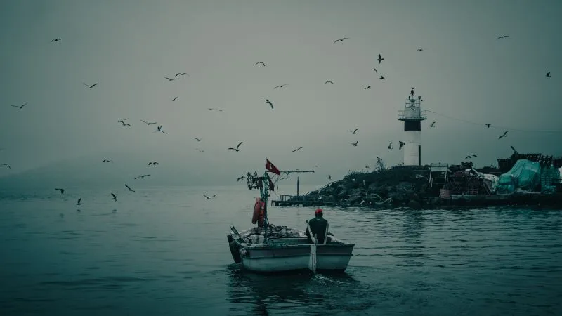 Balıkçılara dev destek, yakıt ve istihdam artıyor