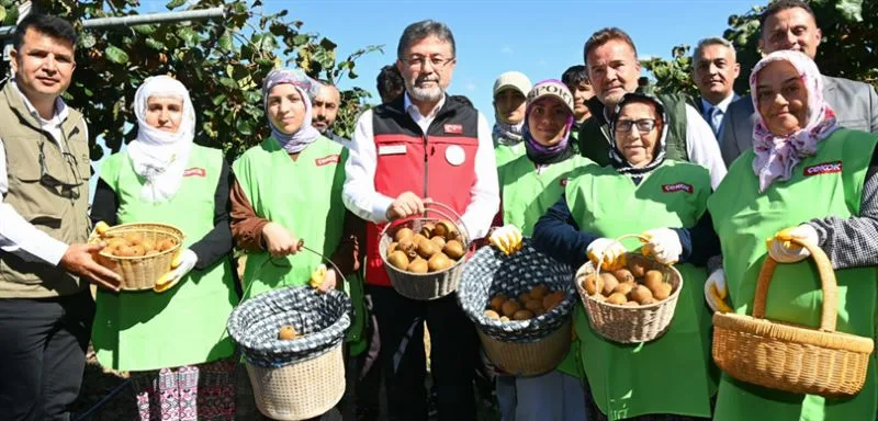 İbrahim Yumaklı Sakarya’da kivi hasadı, rekolte hedefi