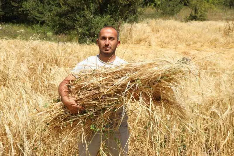 İstanbul’dan Ordu’ya Uzanan Çiftçilik Öyküsü