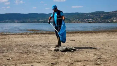 Sapanca Gölü’nde 2 ton çöp toplandı, ekosistem korunuyor