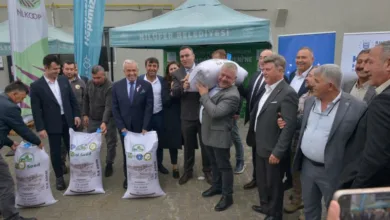Bursa’da İtalyan Çimi Desteği: 14 Ton Tohum %70 Hibeyle