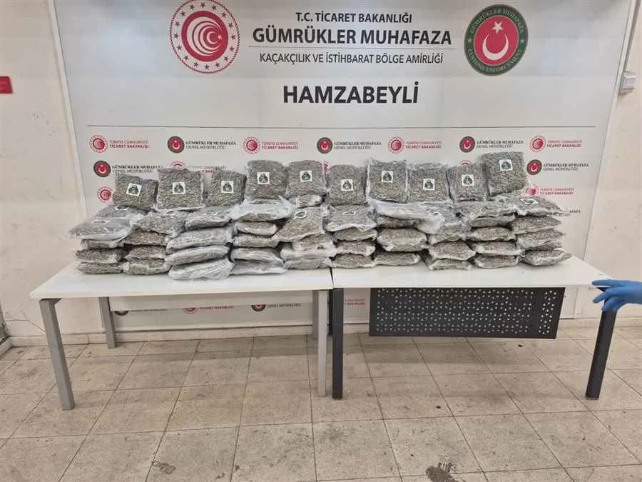 Gümrükler Muhafaza, İspanya ile 1,7 ton kokain operasyonu