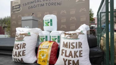 Mersin’de üretim desteği büyüyor: 9 bin küçükbaş hayvan çiftçilere ulaştı