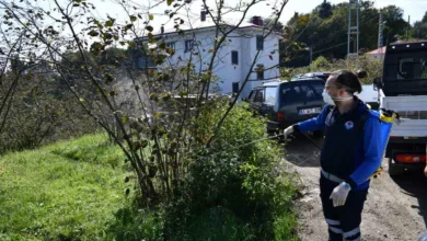 Trabzon’da kahverengi kokarca mücadelesi hızlandı: 9 ilçede kışlak ilaçlaması