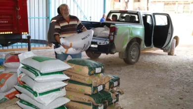 Kocaeli’de yangın sonrası tohum ve gübre desteği