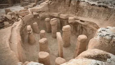 Taş Tepeler’de ortaya çıkan yeni bulgular bilim dünyasında heyecan yarattı
