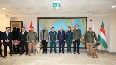 Gümrüklerde 98,5 milyar liralık kaçak yakalaması, rekor artış