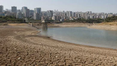 Türkiye Kuraklığa Hazır mı? Şehirleri Bekleyen Su Riski